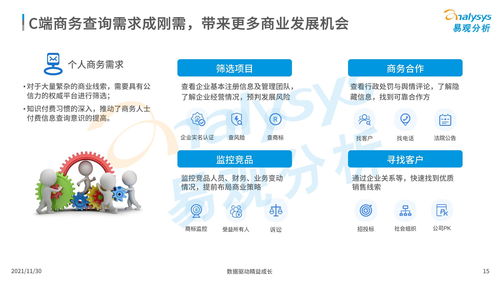 中國商業(yè)查詢市場分析2021